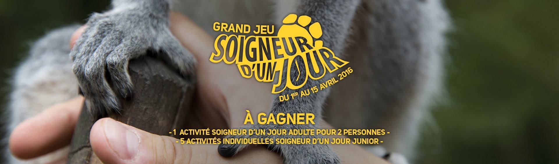 Soigneur Dun Jour Zoo De Beauval Soigneur D Un Jour Zoo De Beauval - Communauté MCMS