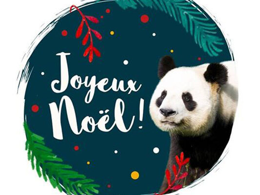 Joyeux Noël !