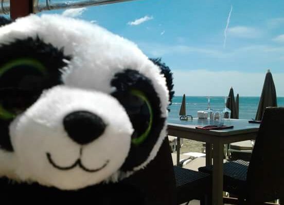 Pandas en vacances