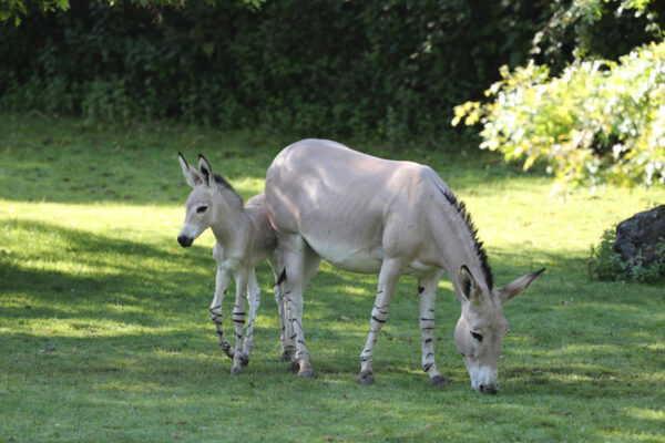 Nouvelle naissance…