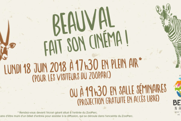 Projection en plein air… à Beauval !