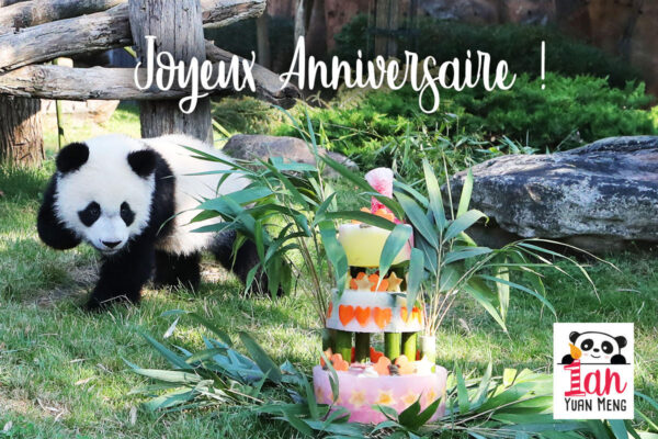 Yuan Meng fête son 1er anniversaire !