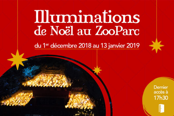 Vivez la magie de Noël à Beauval