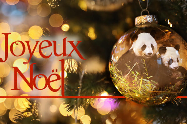 Joyeux Noël !