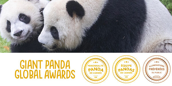 Et les vainqueurs des Giant Panda Global Awards 2018 sont…