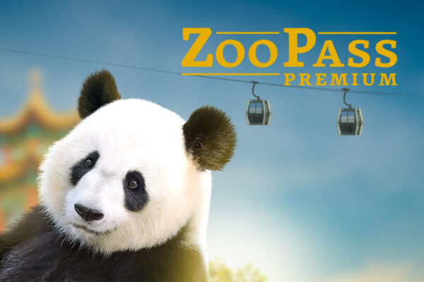 Une nouvelle offre privilège : le ZooPass Premium