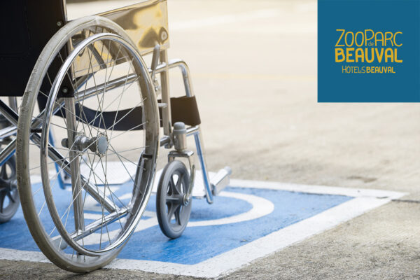 Location de fauteuil roulant au ZooParc de Beauval
