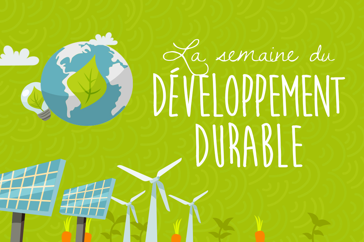 Consulterre - Agence Conseil En Développement Durable