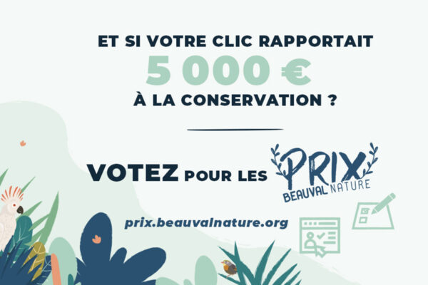 Votez pour la conservation avec les Prix Beauval Nature !