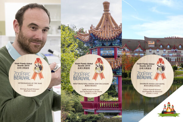 “Giant Panda Global Awards 2019” : médaille d’or pour Beauval ?