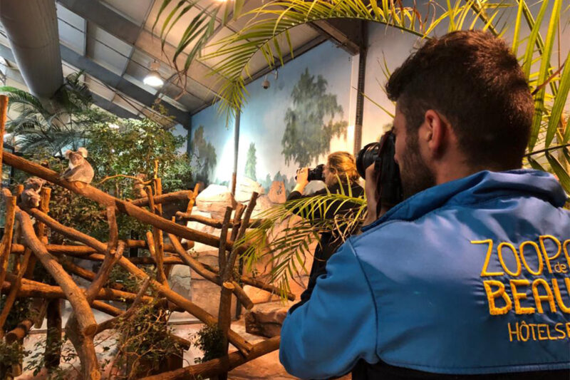 Beauval Nature s’associe au studio Harcourt pour l’Australie