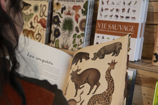 Ouverture de la librairie de Beauval !