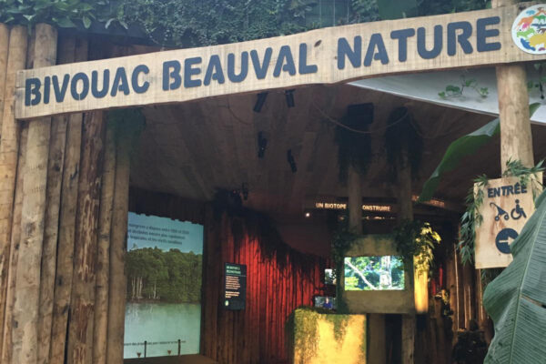 Bivouac Beauval Nature, l’engagement au cœur du dôme équatorial