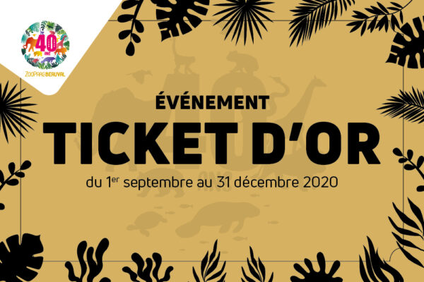 Les mystérieux tickets d’or