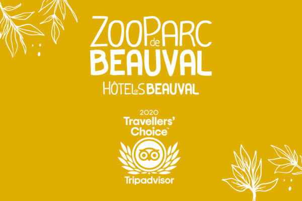 Trois Hôtels de Beauval dans le top 10 Tripadvisor !