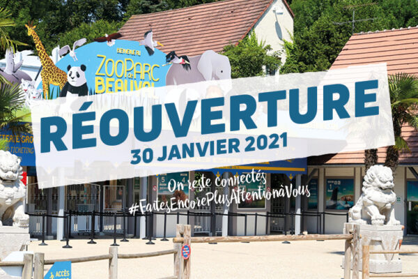 Le ZooParc et les hôtels de Beauval rouvriront leurs portes le samedi 30 janvier 2021