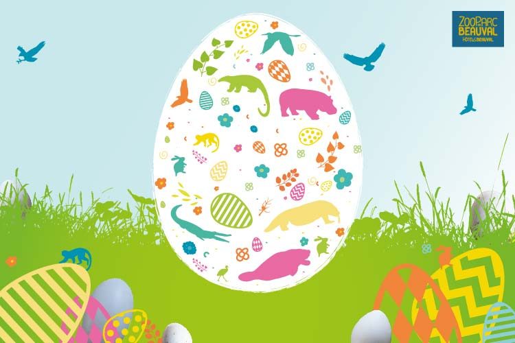 Grand jeu de Pâques : à la recherche des œufs perdus… - Beauval Actus
