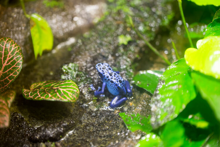 La biodiversité à l’honneur aujourd’hui !