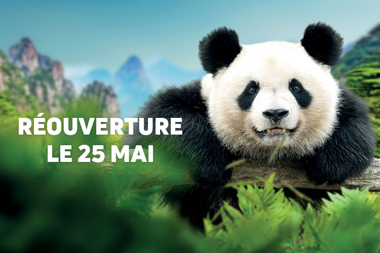 Réouverture du ZooParc et ses Hôtels le 25 mai