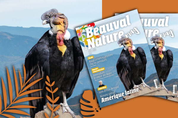 « Beauval Nature mag » numéro 3 : direction l’Amérique latine !