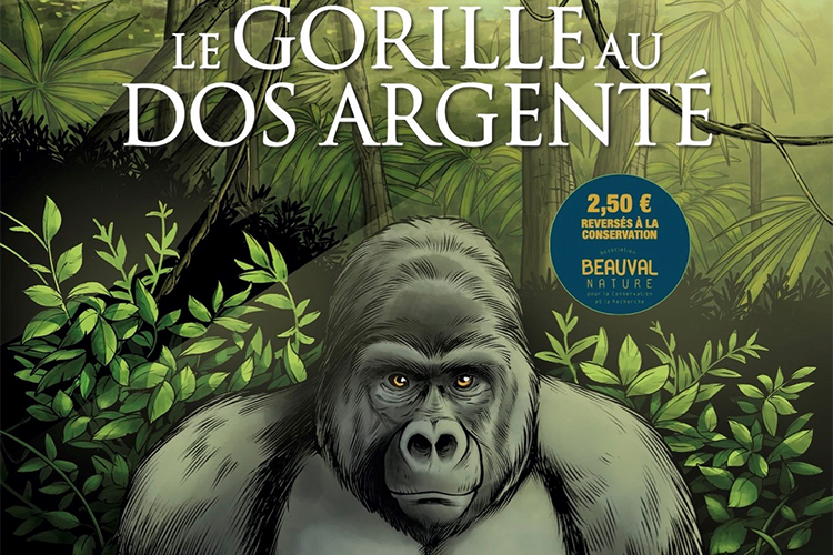 Sortie de la BD « Le gorille au dos argenté »