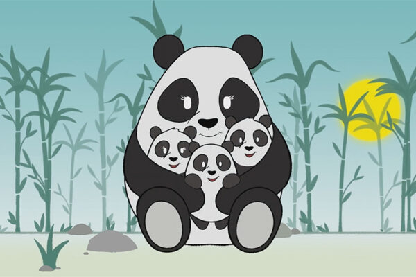 Reproduction des pandas : 3 minutes pour tout comprendre !