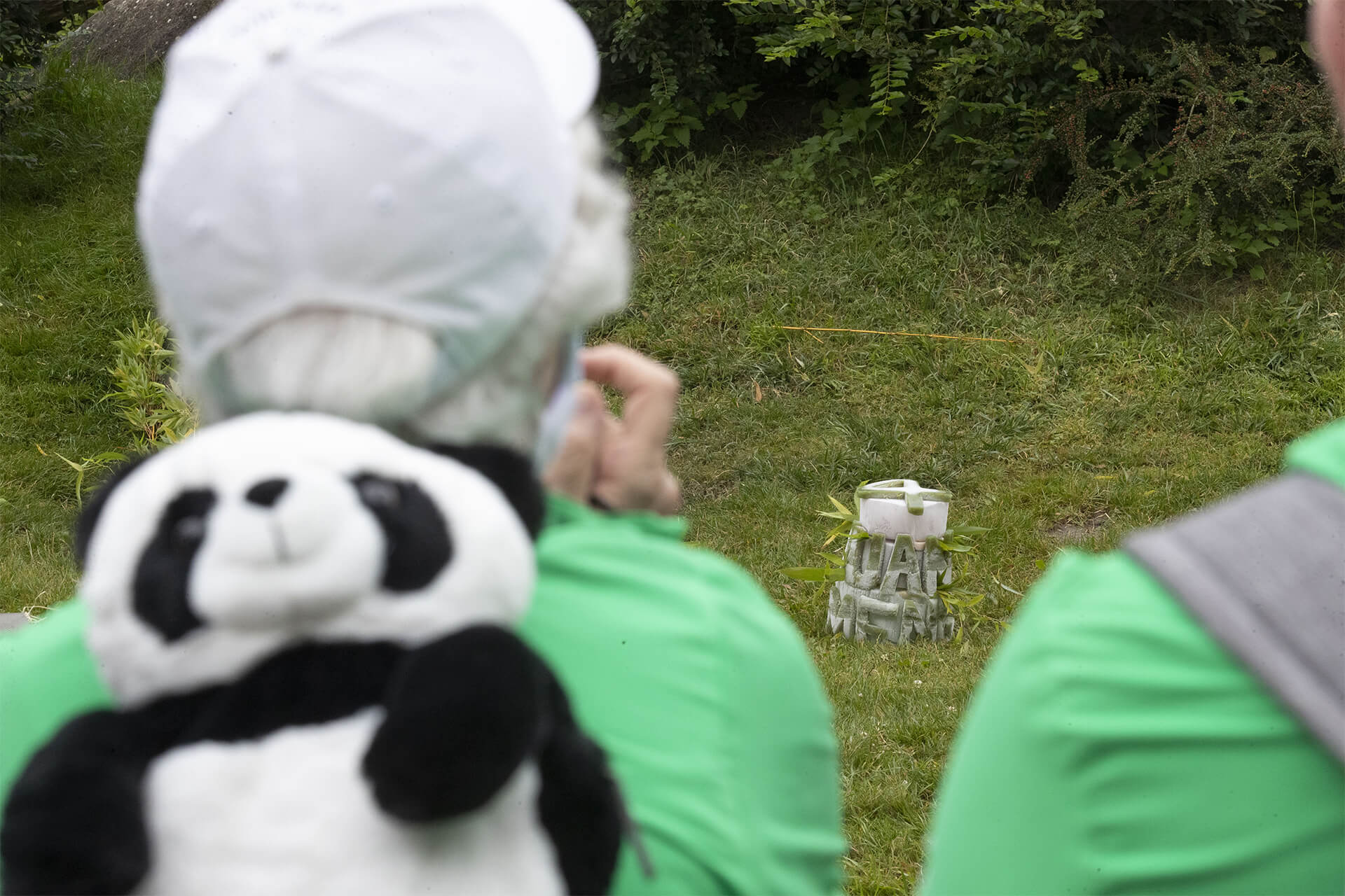 Des spectateurs fans de pandas !