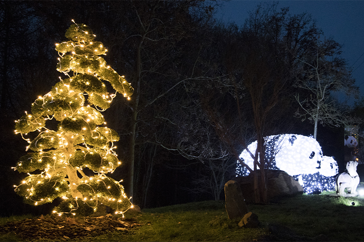 Beauval hisse les couleurs de Noël !