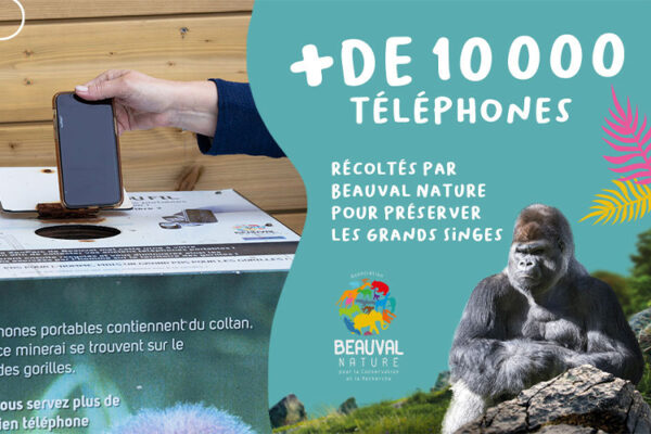 10 000 portables récoltés en 10 ans : c’est top !