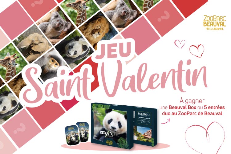 À la Saint Valentin, chacun (re)trouve le sien !