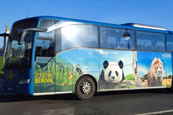 Des cars Transdev et Rémi aux couleurs de Beauval