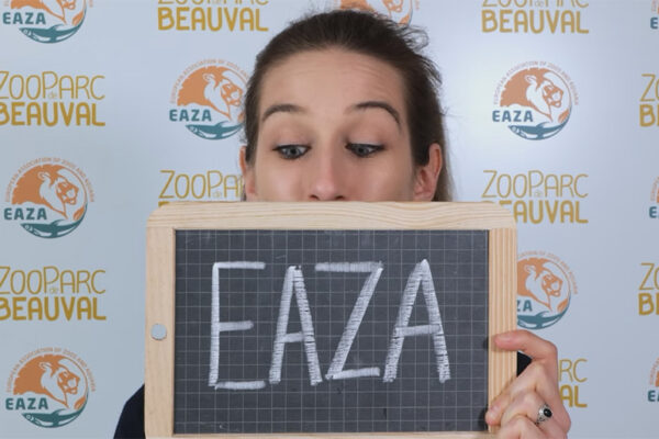L’EAZA au ZooParc de Beauval
