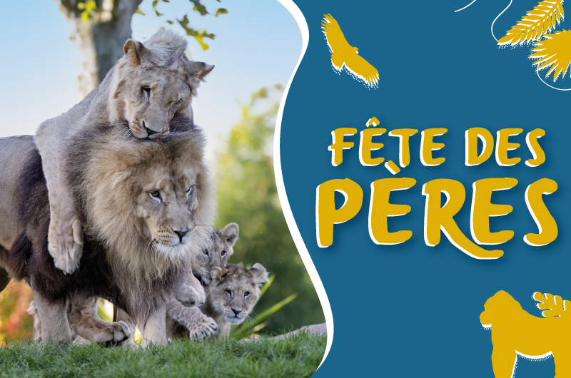 Dimanche 19 juin : c’est la Fête des Pères, surprenez le vôtre !