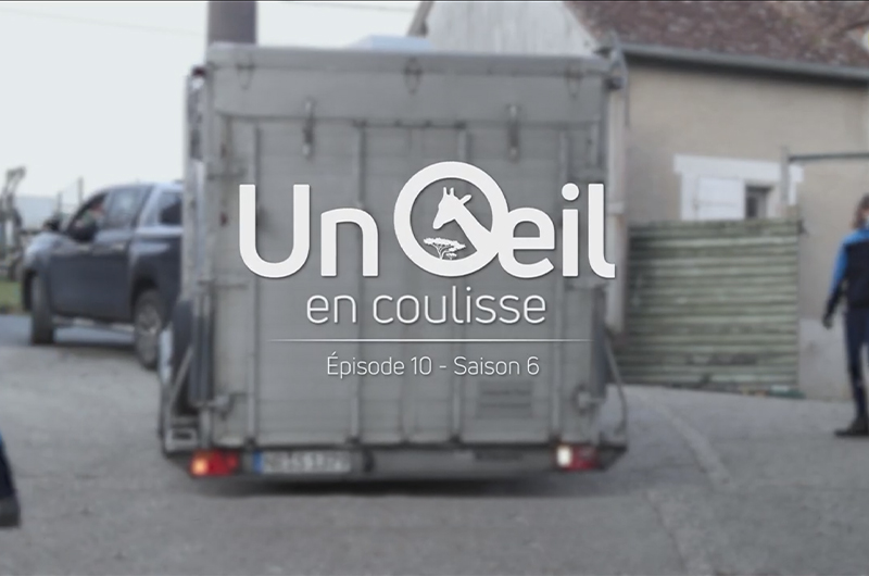 Hiboux, choux, cailloux, gnous !