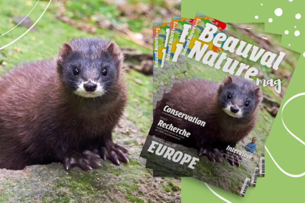 Le nouveau Beauval Nature mag est disponible !