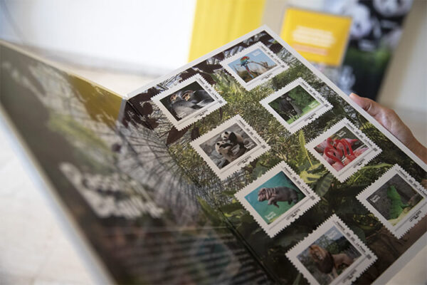 La Poste édite un coffret collector de timbres “ZooParc de Beauval” !