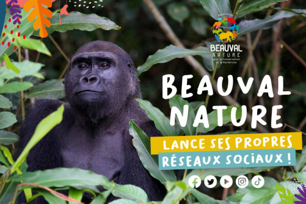 Réseaux sociaux : Beauval Nature plonge toute seule dans le grand océan !