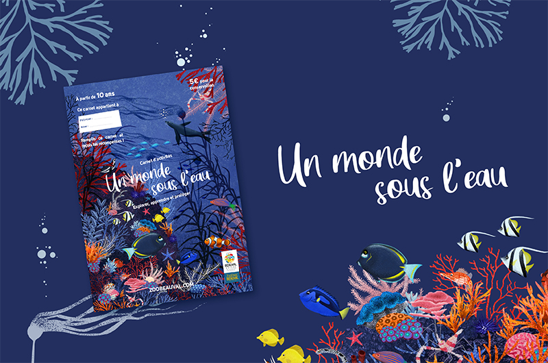 « Un monde sous l’eau », le nouveau carnet d’activités signé Beauval Nature