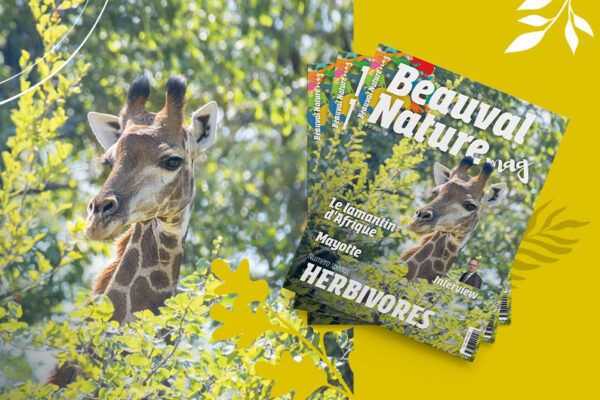 Le nouveau Beauval Nature mag est disponible !