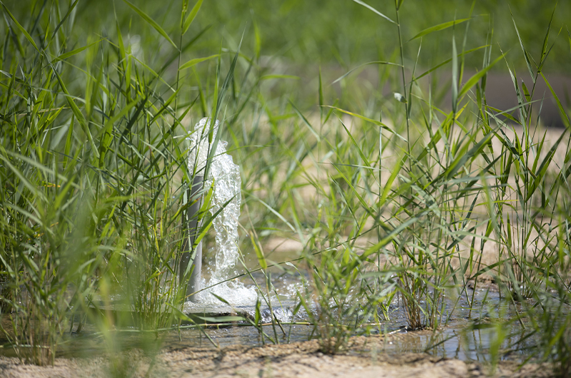 Valorisation des déchets, méthanisation et phytoépuration : les axes durables de Beauval