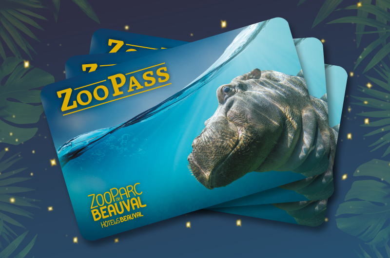 Offre spéciale Noël : 2 ZooPass Adulte achetés = 1 ZooPass Enfant offert !
