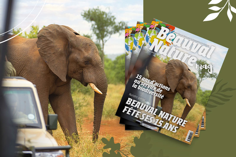 Le nouveau Beauval Nature mag est disponible !