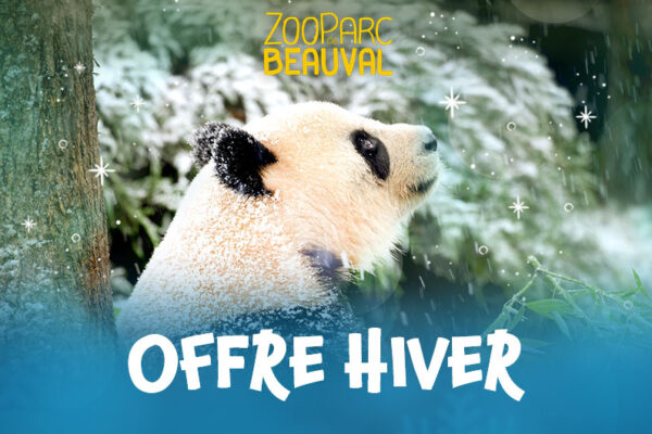 Offre Spéciale Hiver 2025