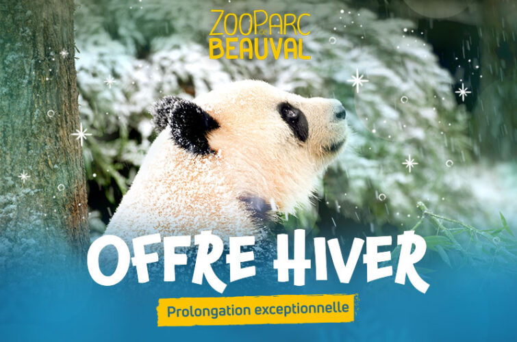 ZPDB OffreHiver 2025 Prolongation800x530 HeaderActu