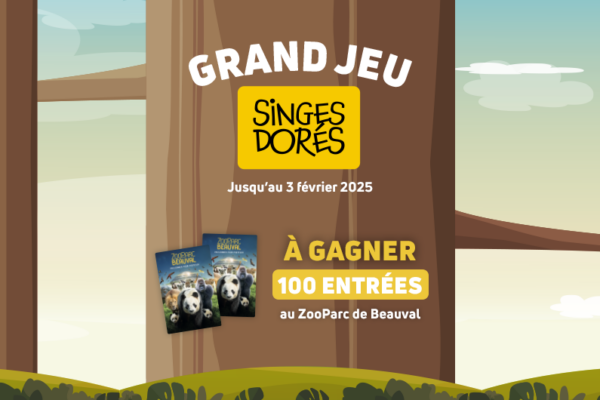 Grand jeu singes dorés