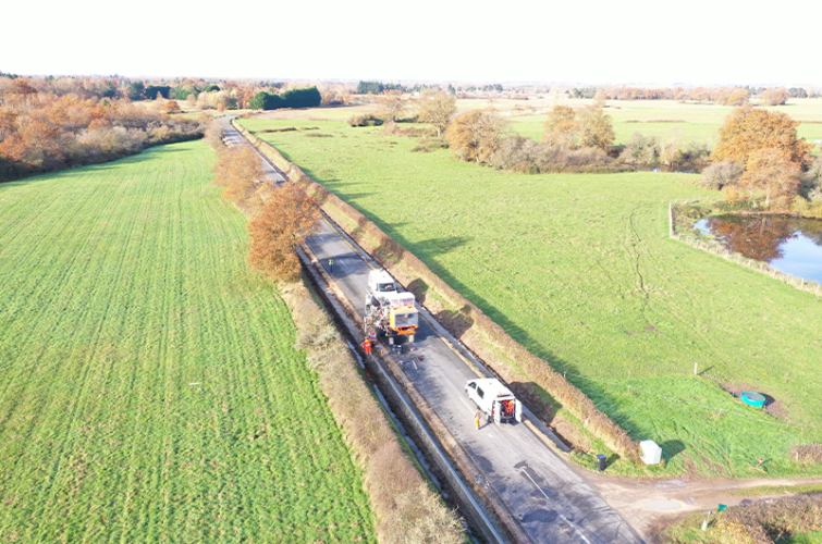 Des passages souterrains pour les pélobates bruns