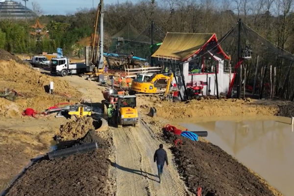 Travaux singes dorés ZooParc de Beauval