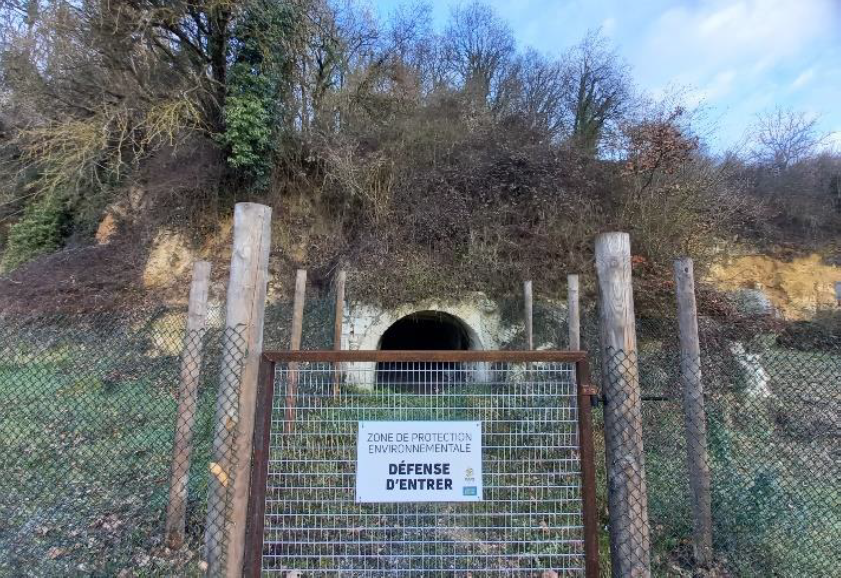 Entrée de la cave aux chauve-souris