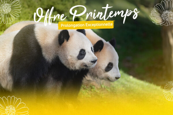Offre Printemps 2025 prolongation exceptionnelle