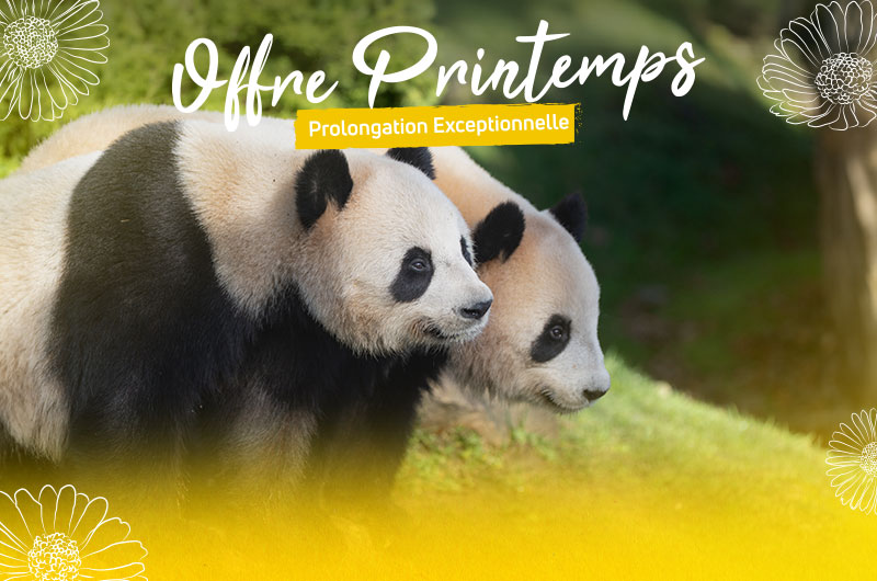 Offre Printemps 2025 prolongation exceptionnelle